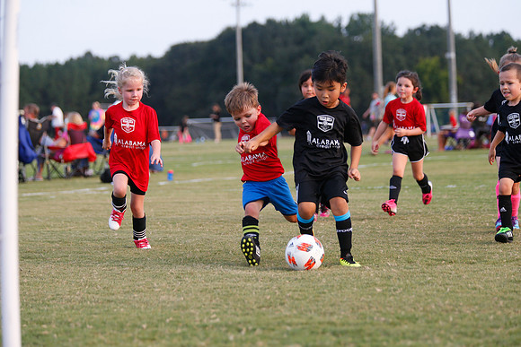 AHSAAFB: Green County at Carbon Hill