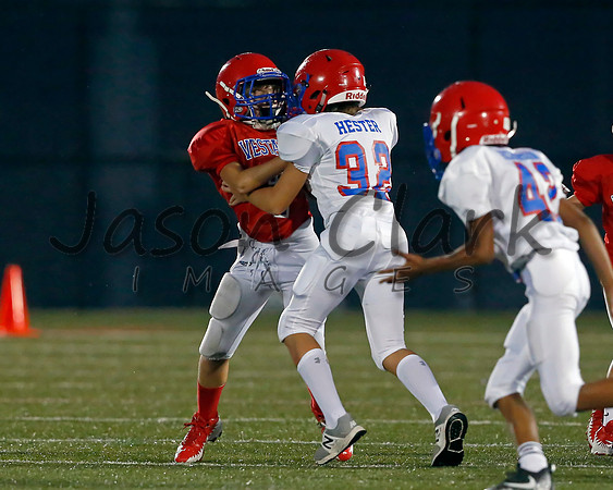 Vestavia Hills 6th Blue