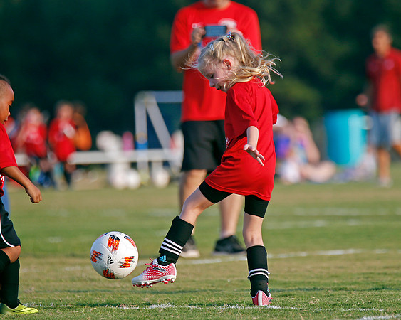 AHSAAFB: Green County at Carbon Hill