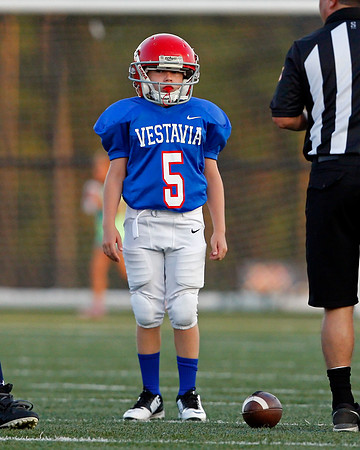 Vestavia Hills 4