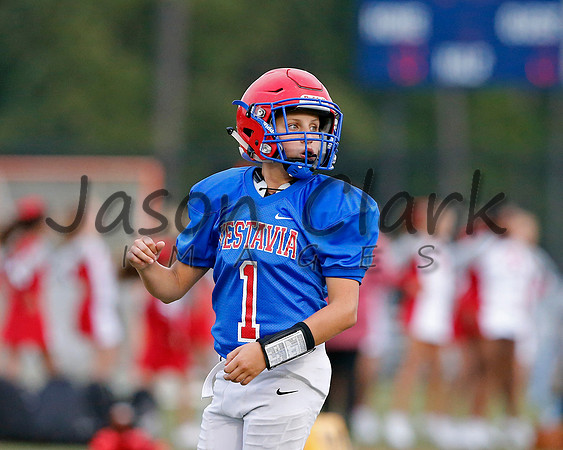 Vestavia Hills 6th Blue