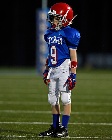 Vestavia Hills 4