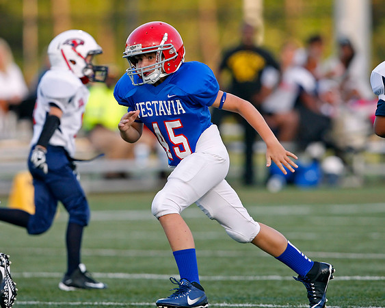 Vestavia Hills 4