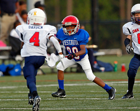 Vestavia Hills 4