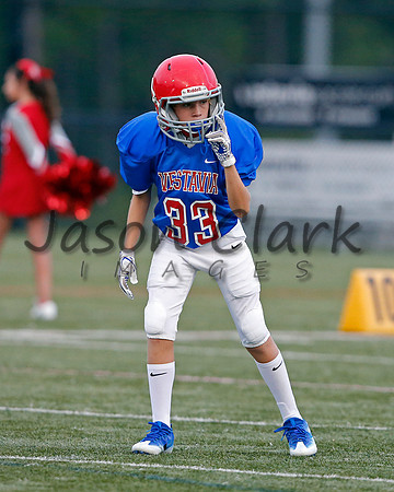 Vestavia Hills 6th Blue