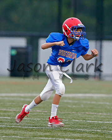 Vestavia Hills 6th Blue