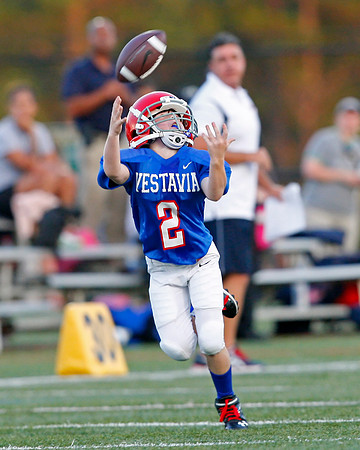 Vestavia Hills 4