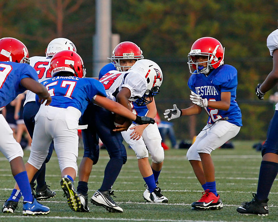 Vestavia Hills 4