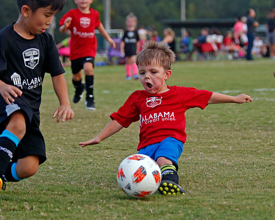 AHSAAFB: Green County at Carbon Hill