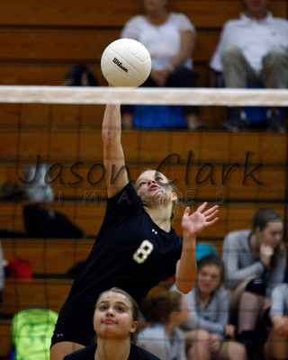 Walker Volleyball