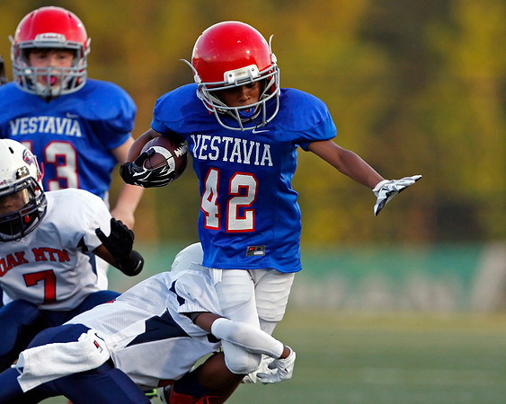 Vestavia Hills 4