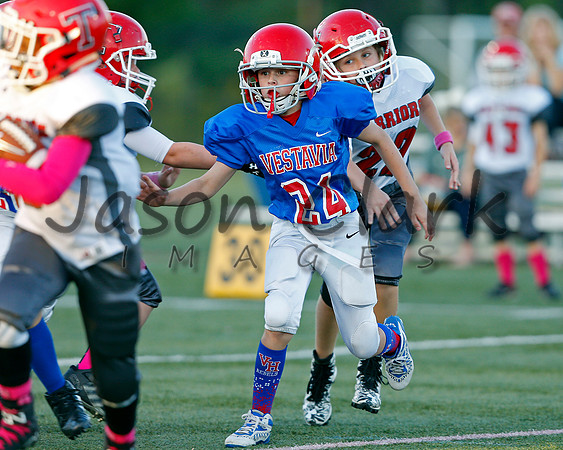 Vestavia Hills 4th Grade