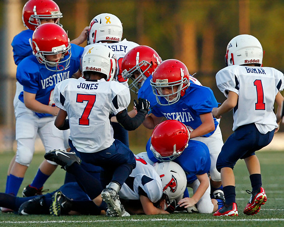 Vestavia Hills 4