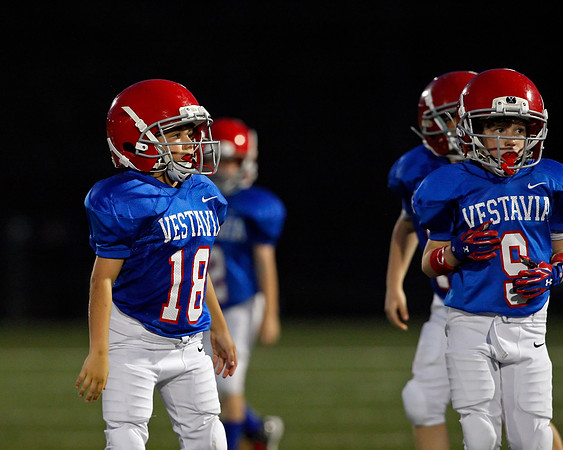 Vestavia Hills 4