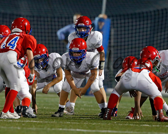Vestavia Hills 6th Blue