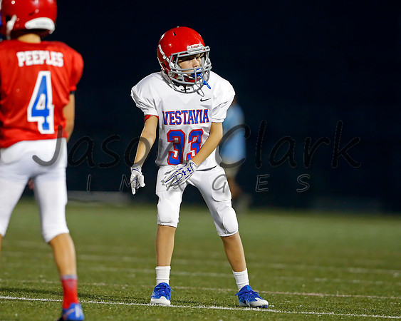 Vestavia Hills 6th Blue