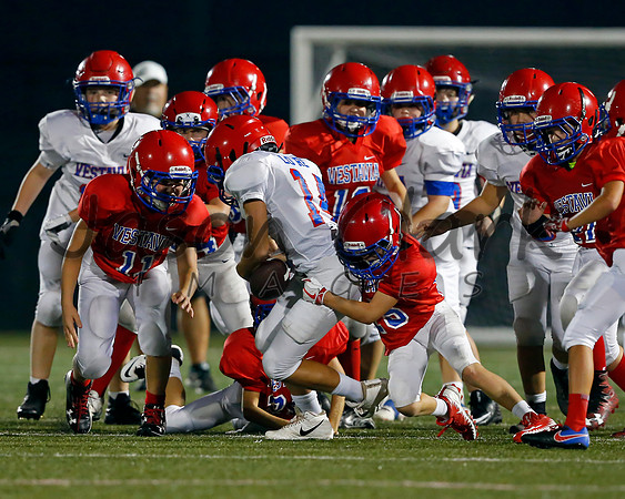 Vestavia Hills 6th Blue