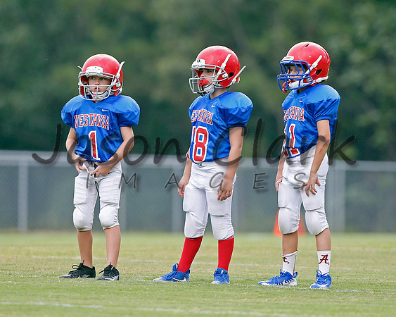 Vestavia Hills 3rd