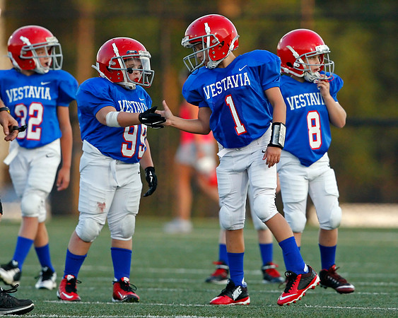 Vestavia Hills 4