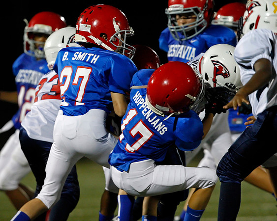 Vestavia Hills 4