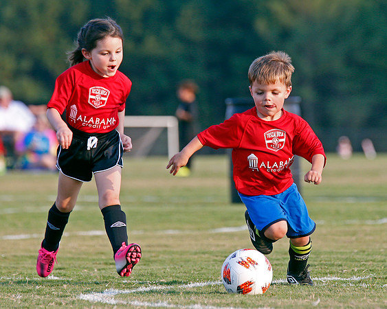 AHSAAFB: Green County at Carbon Hill