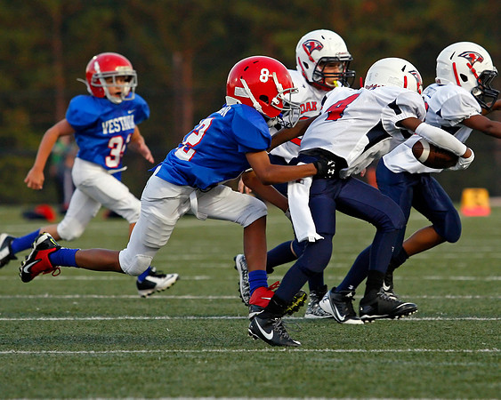Vestavia Hills 4