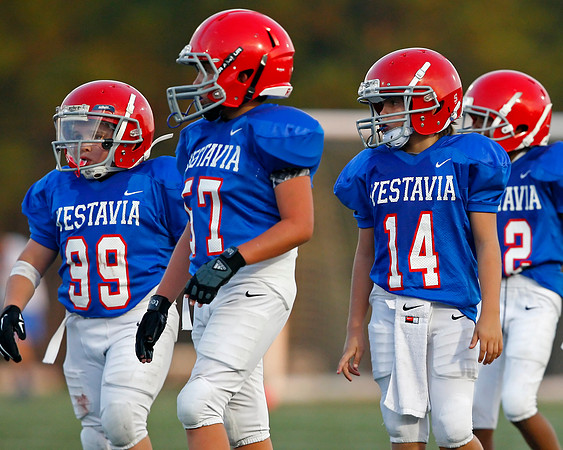 Vestavia Hills 4