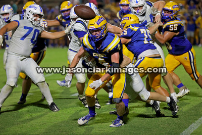 AHSAA: Carbon Hill at Curry