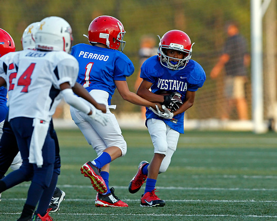 Vestavia Hills 4