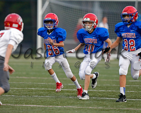 Vestavia Hills 6th Blue