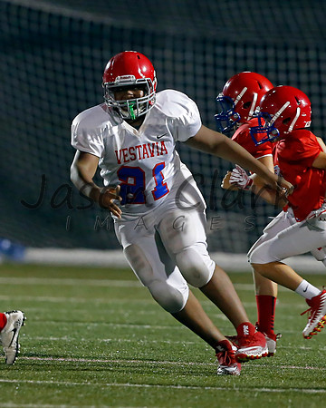 Vestavia Hills 6th Blue