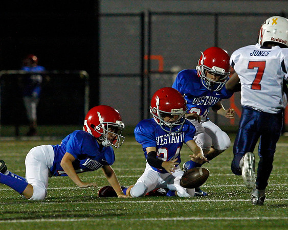 Vestavia Hills 4