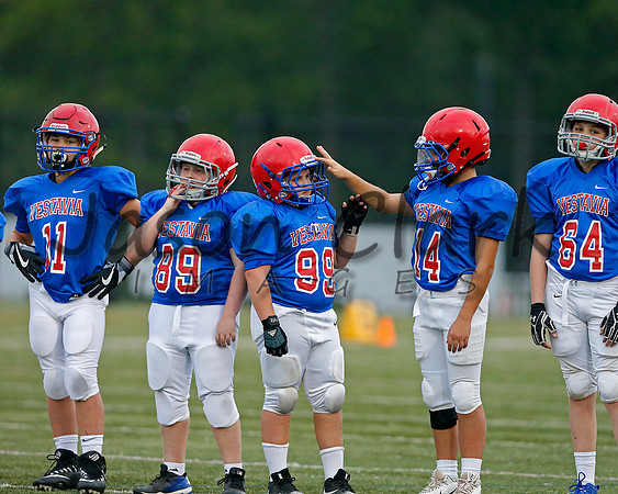 Vestavia Hills 6th Blue