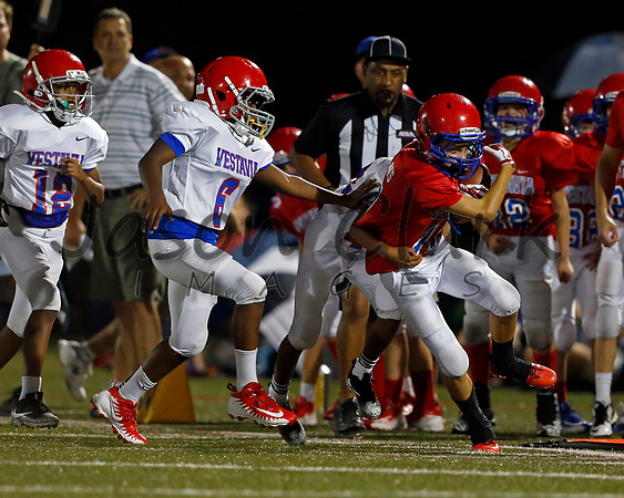 Vestavia Hills 6th Blue