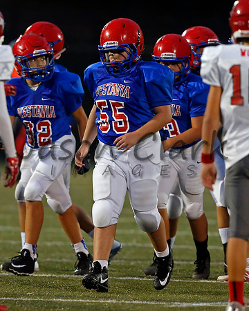 Vestavia Hills 6th Blue
