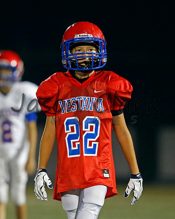 Vestavia Hills 6th Red